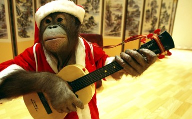 santa-monkey.jpg